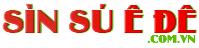 logo sinsuede.com